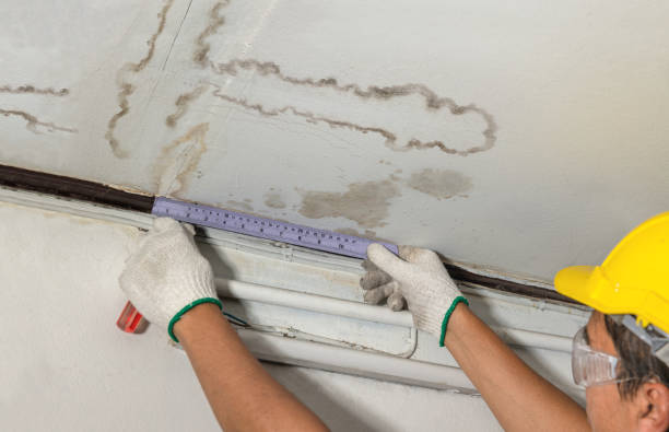 Reliable Sewage Cleanup contractor in South Plainfield, NJ by Water Damage Irwin